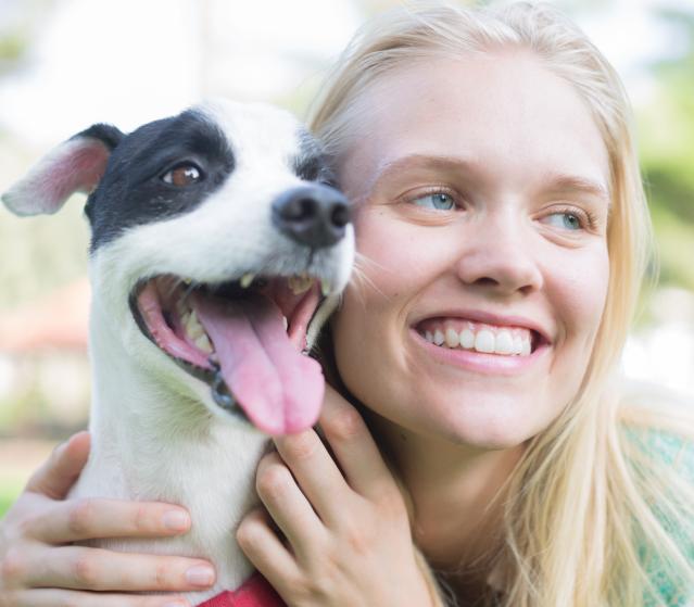 square of Dog Adoption Can Fill The Missing Spot In Your Family
