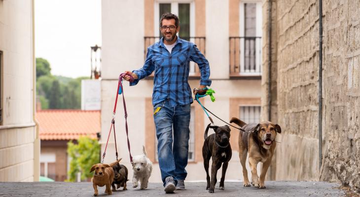 banner of Dog Walkers Can Help When You Can't Take Your Pooch Out