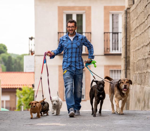square of Dog Walkers Can Help When You Can't Take Your Pooch Out