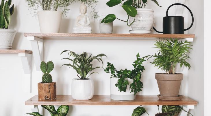 banner of Different Shelving Units Are More Appropriate From Some Homes