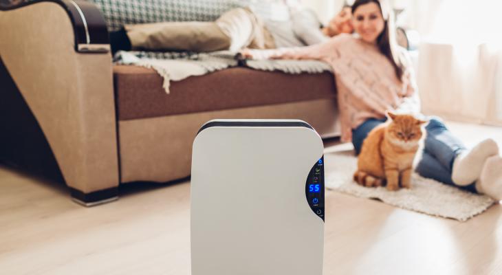 banner of Air Purifiers Can Make a Big Difference In Many Homes